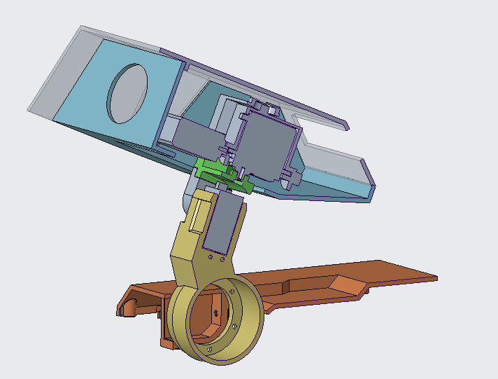 Head in raised position looking up cross section